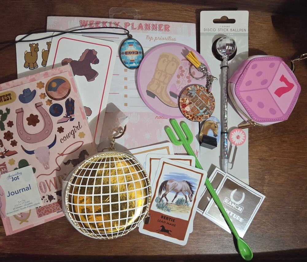 Western Cowgirl Horse Stationery Accessory Lot Disco Ball Pouch Journal Planner